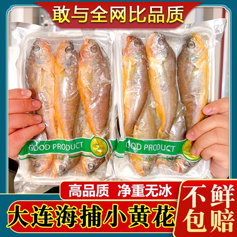 纯野小黄花鱼新鲜冷冻净重无冰
