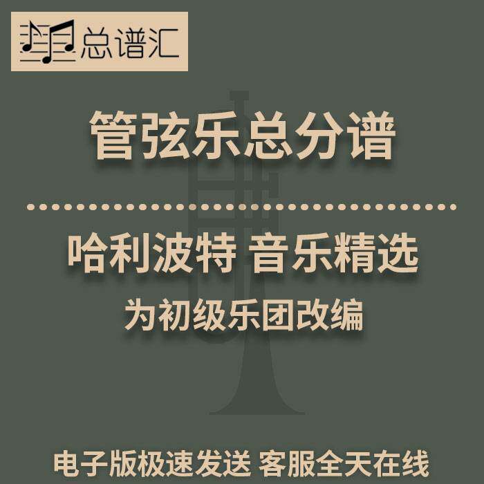 2.5级 哈利波特 音乐精选 管弦乐 交响乐 总谱 分谱 MP3