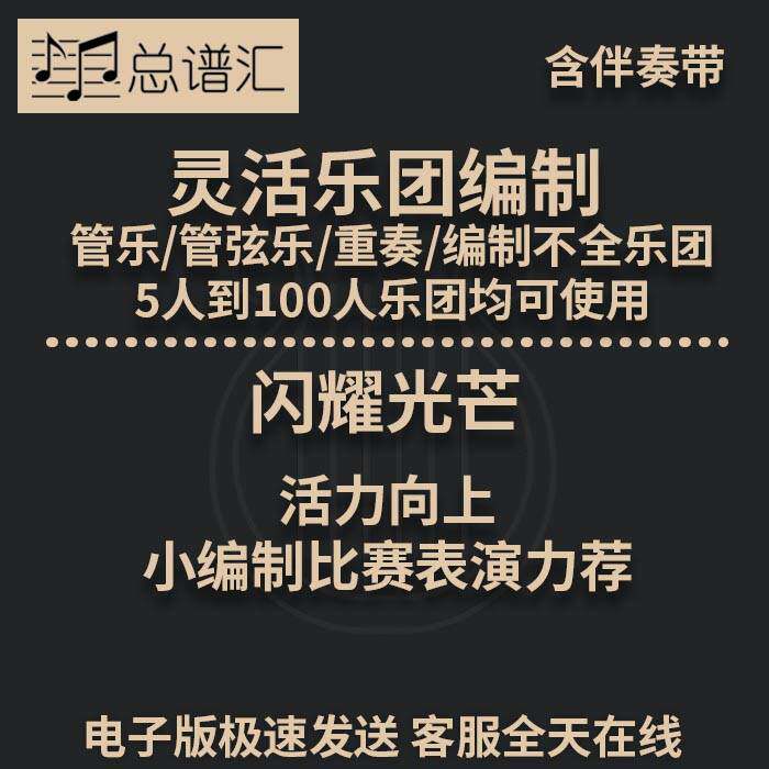 闪耀光芒 小编制比赛表演力荐 2.5级灵活乐团编制 管乐总分谱MP3