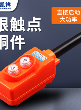 TNHA1 COP COB-213 行车开关 直控型吊机 吊车开关上下按钮大功率