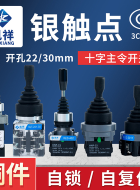 十字开关主令CS-402换向摇杆XD2-PA22CR四向201自复位自锁CS-4022