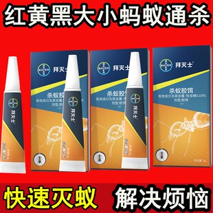 德国拜耳蚂蚁药全窝端家用室内厨房神器灭蚁杀蚁胶饵拜灭易拜灭士
