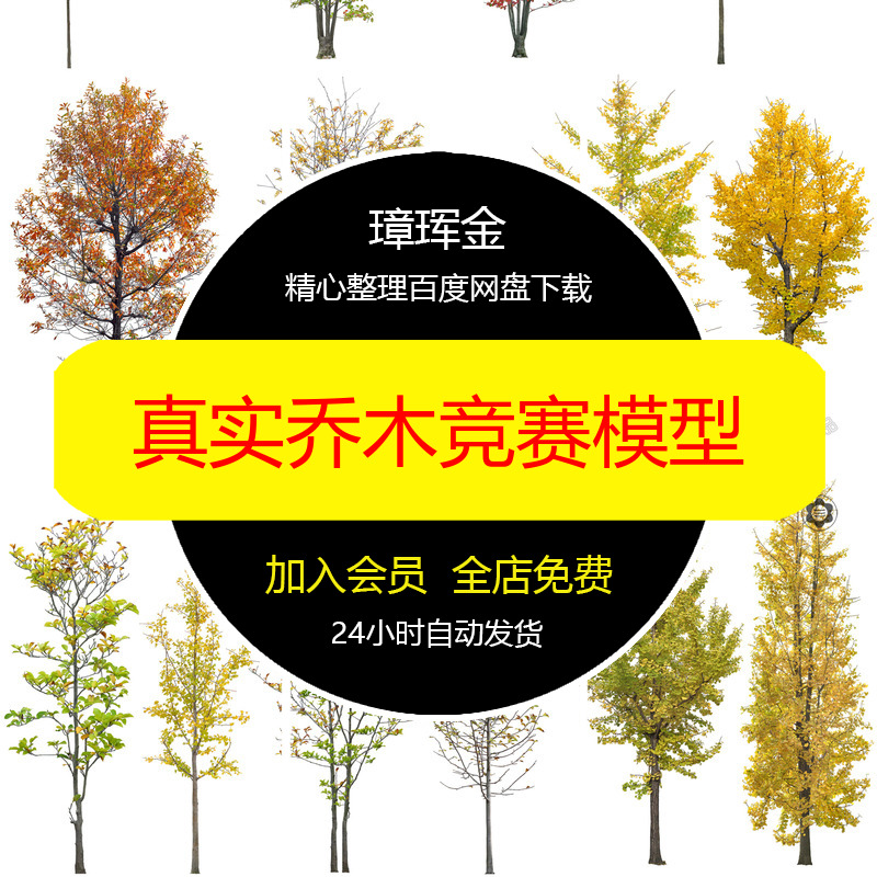 真实PNG贴图竞赛园林秋季PS景观高清素材免扣乔木植物模型sv83