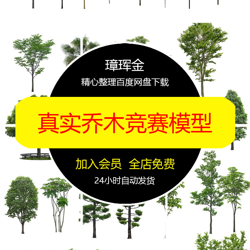 秋季PS真实竞赛高清景观素材贴图PNG免扣乔木园林植物模型iq30