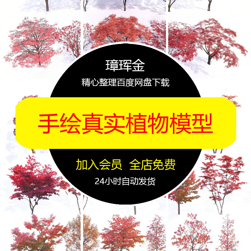 SU模型手绘灌木景观植物乔木素材设计热带树2D3D树木园林模型co61