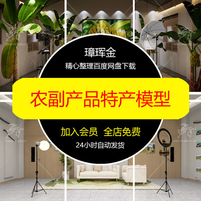 电商SU模型乡村农副产品水果振兴草图直播间特产助农带货模型fu56