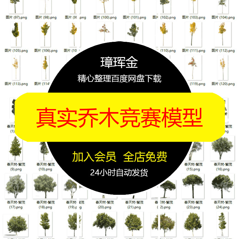 真实竞赛贴图秋季乔木PS园林植物高清素材库png景观免扣模型dt05