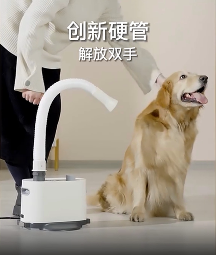 派可为宠物吹水机大功率静音
