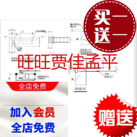 梁,板植筋大样cad图(植筋cad节点大样)结构dwg图纸