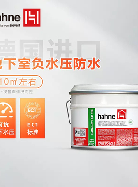 德国悍能地下室负水压防水防潮防霉LF41别墅环氧树脂原装进口涂料