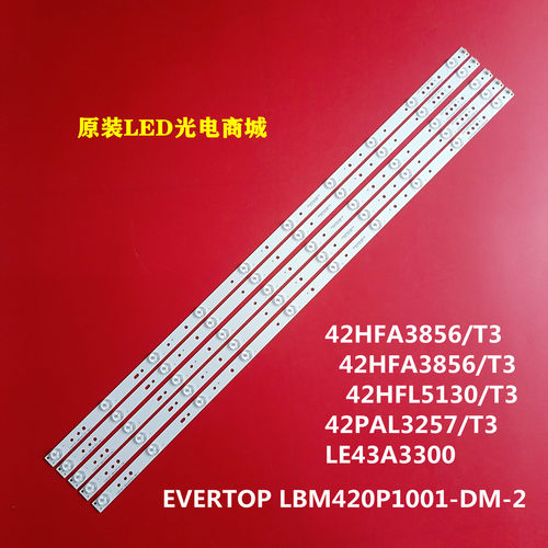 EVERTOPLBM420P1001-DM-2