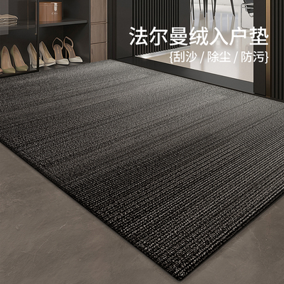 高级感入户门防滑耐脏除尘脚垫