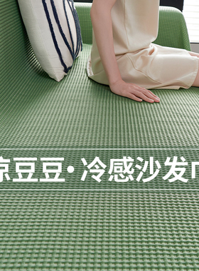 2025新款夏季凉感沙发垫盖布巾轻奢高级感夏天一整张全盖凉席坐垫