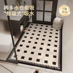 浴室地垫硅藻泥专用吸水速干卫生间门口防滑脚垫洗手台全铺地毯