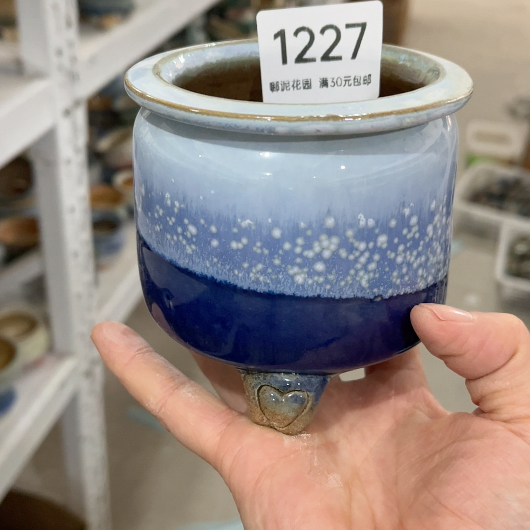 1227口径7.5,家居饰品,花盆,淘宝优惠券,粉丝福利购,淘宝优惠卷