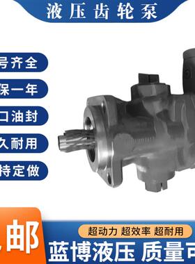 热销KRACHT油泵KF80RF2-D15KF125RF2/197克拉克齿轮泵KF16RF1/197