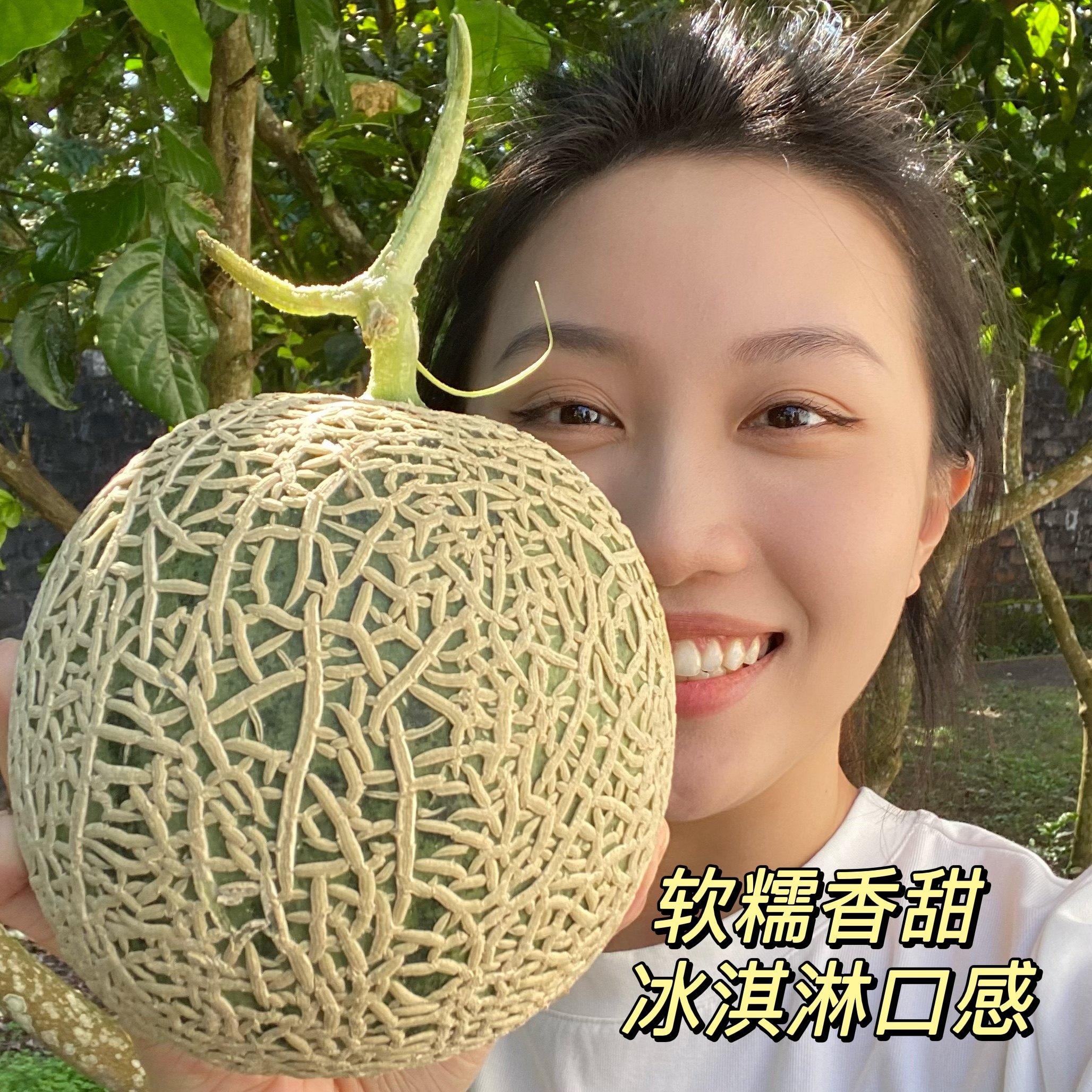 牛3网纹蜜瓜2个装冰淇淋甜