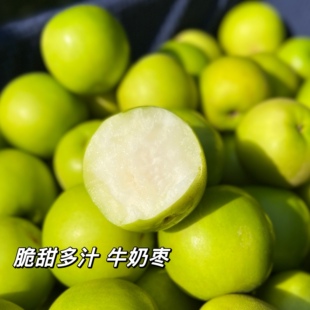 云南西双版纳雲枣苹果枣牛奶枣青枣脆枣 汁多脆甜 核小 非常好吃