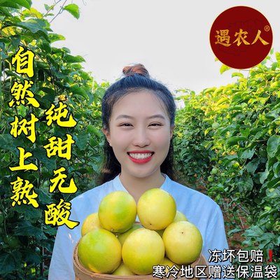 一级大果顺丰包邮现摘百香