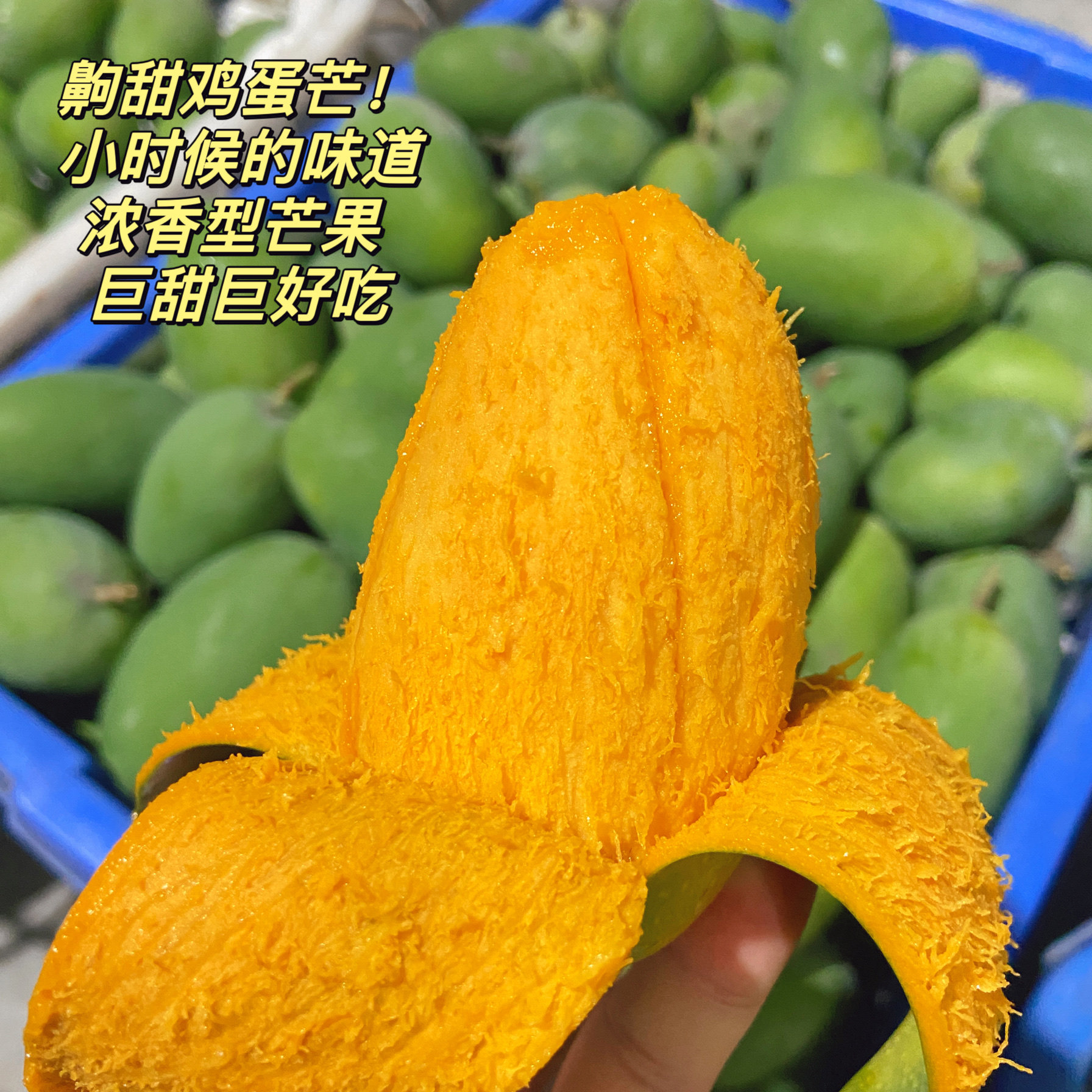 海南鸡蛋芒 齁甜椰香浓香芒果 成熟后青皮微黄果肉细腻无纤维现摘