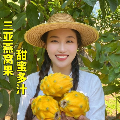 海南三亚燕窝果麒麟果 大果礼盒 现摘 树上熟很甜很甜 甜蜜多汁