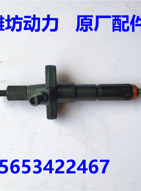 潍坊潍柴华丰ZH4100D ZHAG 4102 ZH4105ZD 喷油器总成 柴油机配件