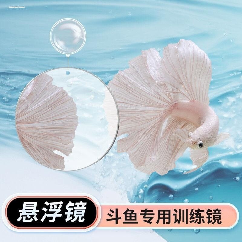 斗鱼半月训练镜子复古风