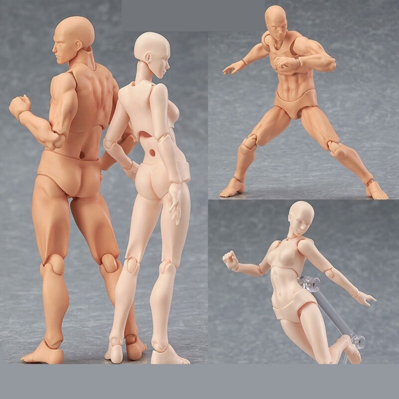 人体模型美术生素描速写