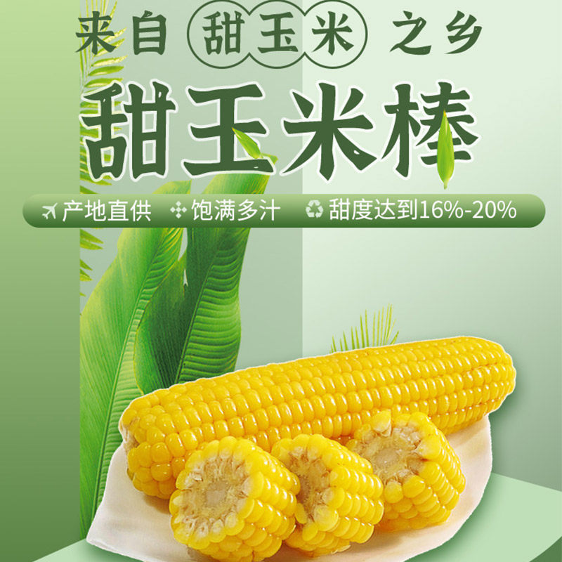 广西甜玉米新鲜农家自种生嫩水果玉米棒超甜应季现摘苞谷蔬菜整箱