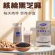 果实天下核桃黑芝麻2扎现榨五谷杂粮热饮酒店商用鲜榨原料食材包