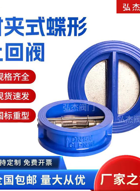 对夹式蝶形止回阀DH77X-16铸铁逆止阀单向阀废水处理工业国标阀门