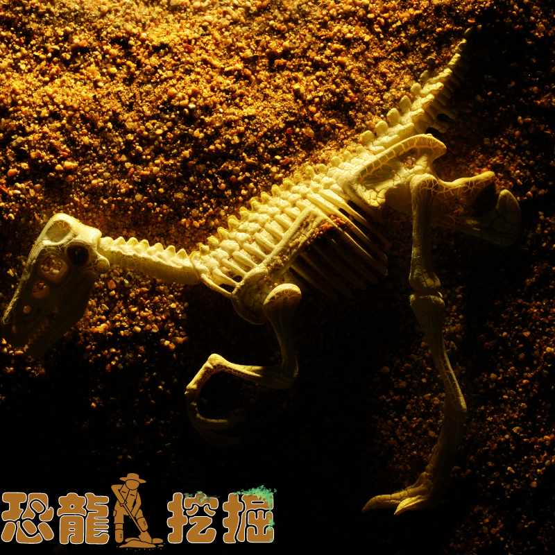 考古霸王龙化石挖掘玩具