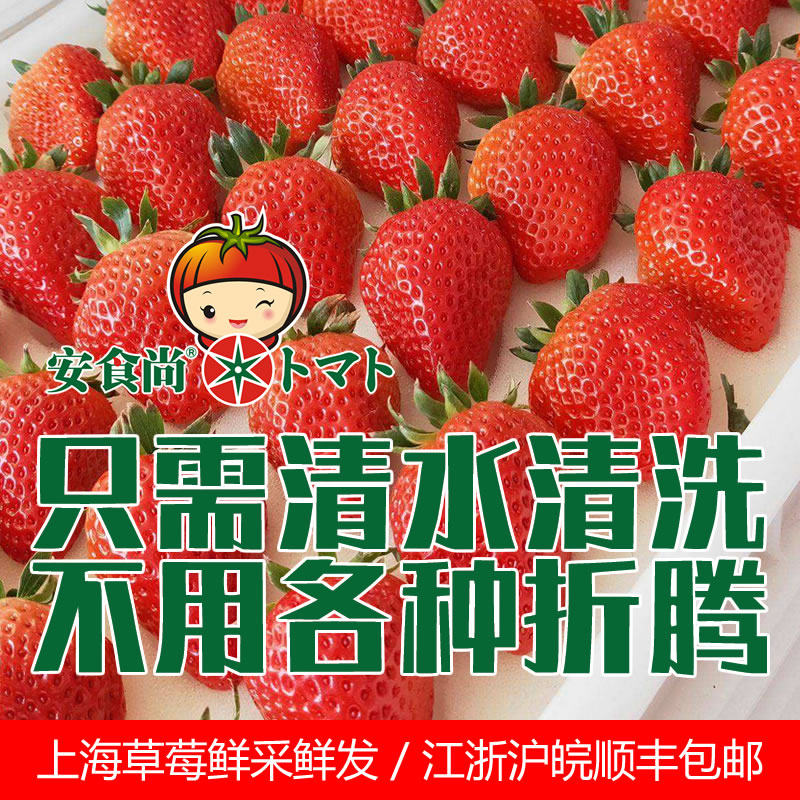上海安食尚大果章姬红颜草莓采摘产妇孕妇婴幼儿辅食江浙沪皖包邮
