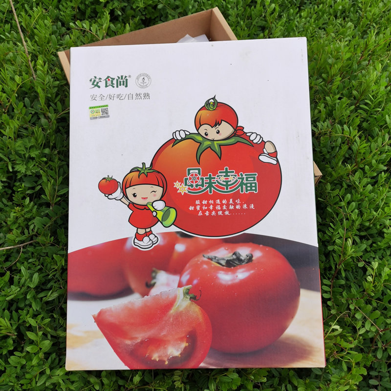 上海本地生态有机番茄生吃水果西红柿婴幼儿辅食孕妇产妇番茄红素