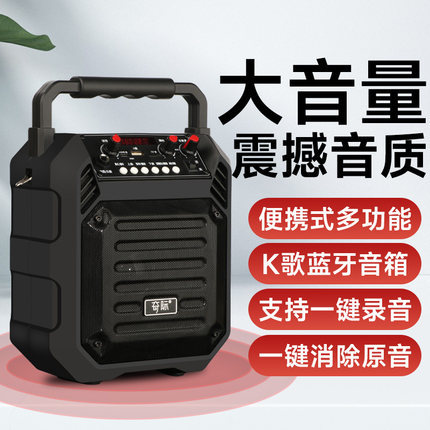 蓝牙音箱电吉他贝斯乐器便携式户外手提低音炮播放器广场舞大音响