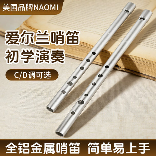 爱尔兰哨笛C/D调笛子儿童6孔竖笛