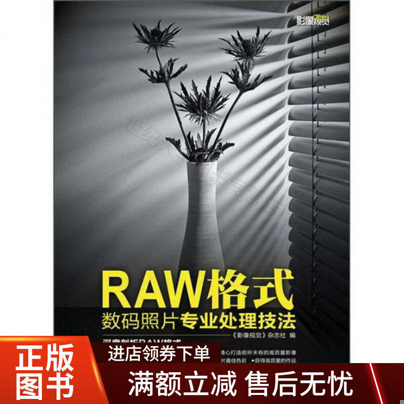 RAW格式数码照片专业处理技法(《影像视觉》杂志社特别策划,解读R属于什么档次？