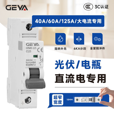 GEYA格亚小型断路器1P2P直流