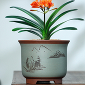 宜兴紫砂花盆君子兰专用盆复古陶瓷花盆大号通用盆清仓特价 包邮