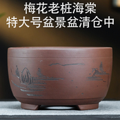 宜兴紫砂花盆海棠梅花老桩金弹子盆景盆特大号陶瓷花盆特价 清仓