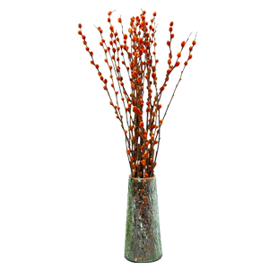 银柳真花鲜枝红柳干花装饰室内客厅摆放装饰花束花卉鲜花耐寒