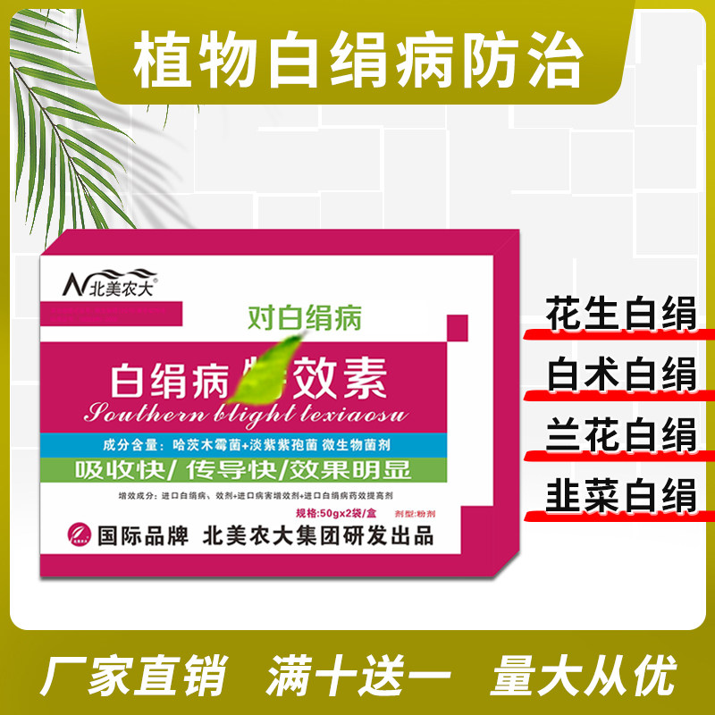 白绢病特效素杀菌剂 花生辣椒油茶韭菜白娟病 菌核性根腐病专用药