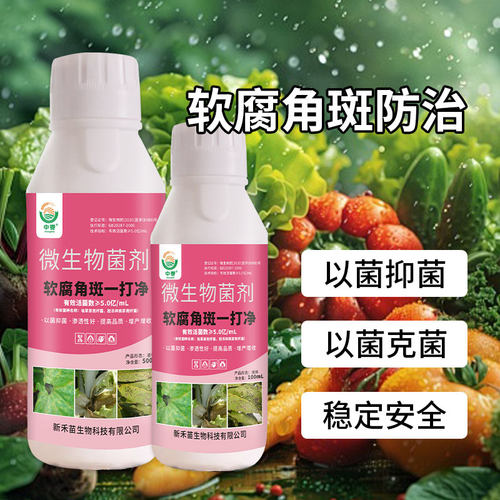 角斑软腐一打净专用药番茄辣椒白菜瓜果蔬菜角斑药材软腐病杀菌剂