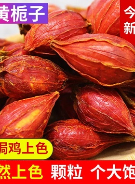 天然色素黄栀子盐焗鸡上色野生黄栀子泡茶黄枝子桅子茶粉黄栀子水