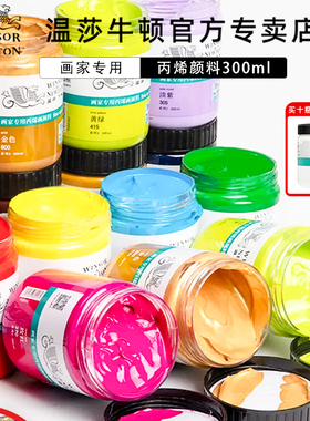 温莎牛顿画家专用丙烯颜料防水纺织墙绘套装300ml12色24色36色流体画学生初学者金色钛白色美甲BJD娃娃diy鞋