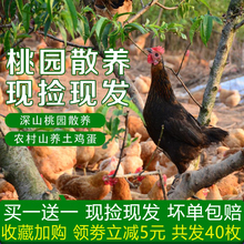 正宗土鸡蛋农家散放养当天新鲜柴鸡蛋笨鸡蛋草鸡蛋40枚粉壳非乌壳