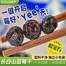 正宗长白山特产蓝莓干大颗粒蓝莓袋装 干蓝莓果干酸甜大包独立小袋