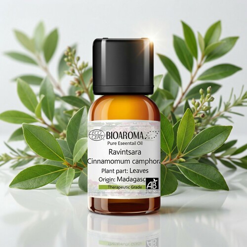有机桉油醇樟罗文莎叶精油产地马达加斯加Ravintsara香薰BIOAROMA