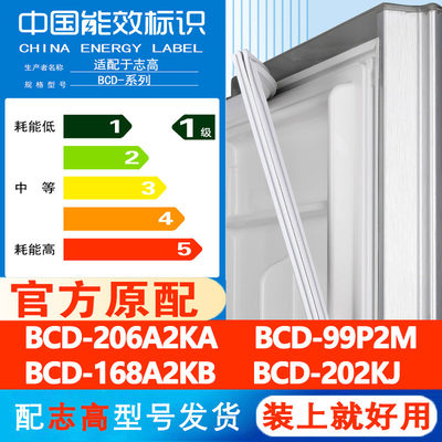 志高BCD206A2KA99P2M