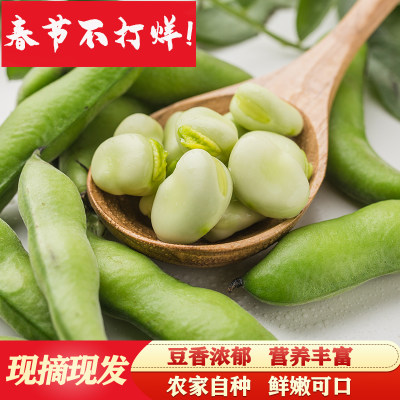 蚕豆现摘现发带壳青豆